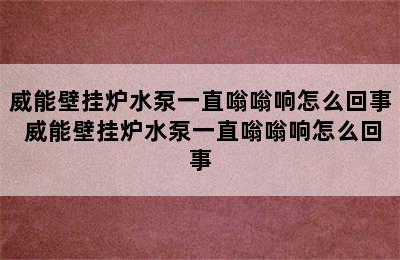 威能壁挂炉水泵一直嗡嗡响怎么回事 威能壁挂炉水泵一直嗡嗡响怎么回事